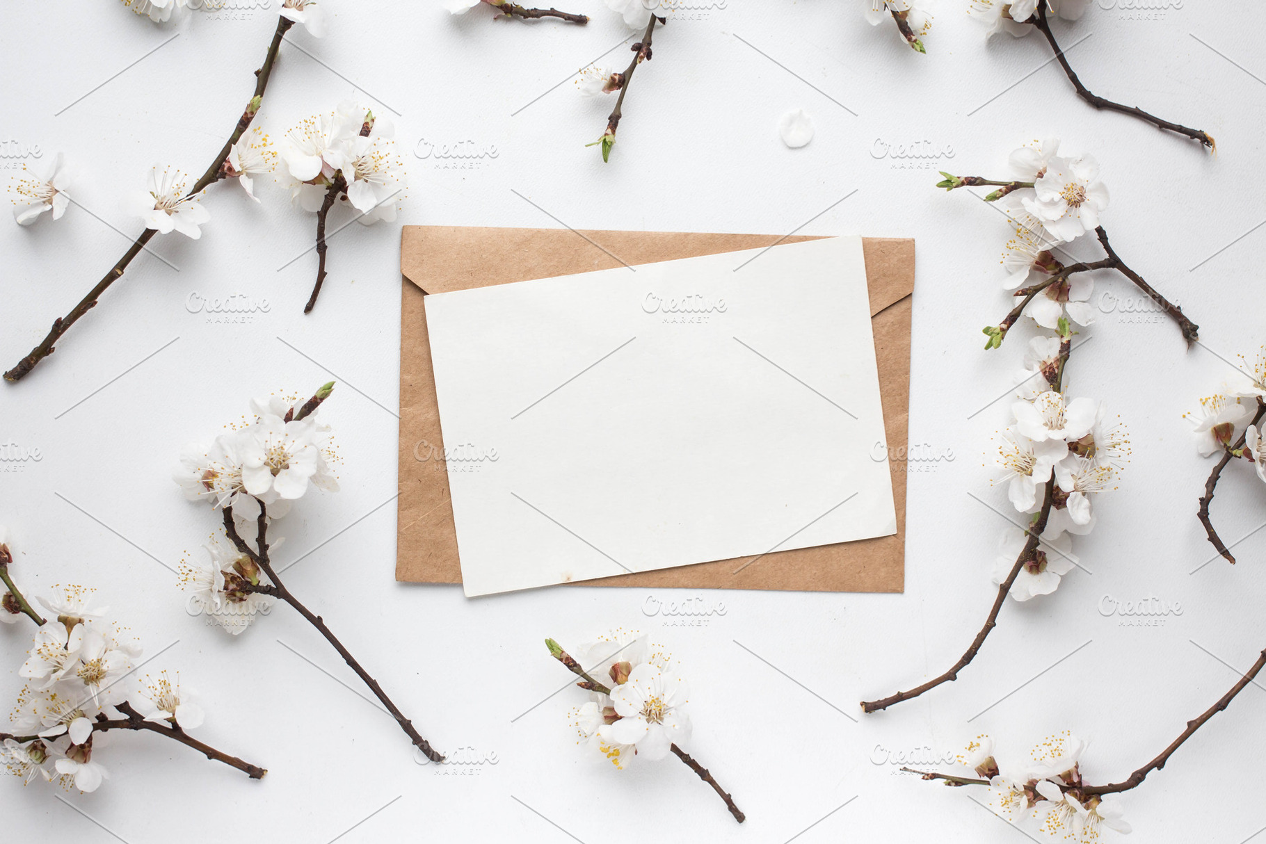 postcard and cherry flowers, an Arts & Entertainment Photo by Arymer