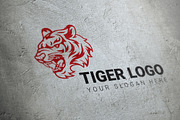 Tiger logo, a Branding & Logo Template by Chuhe86 (Thumbnail 3 of 3)