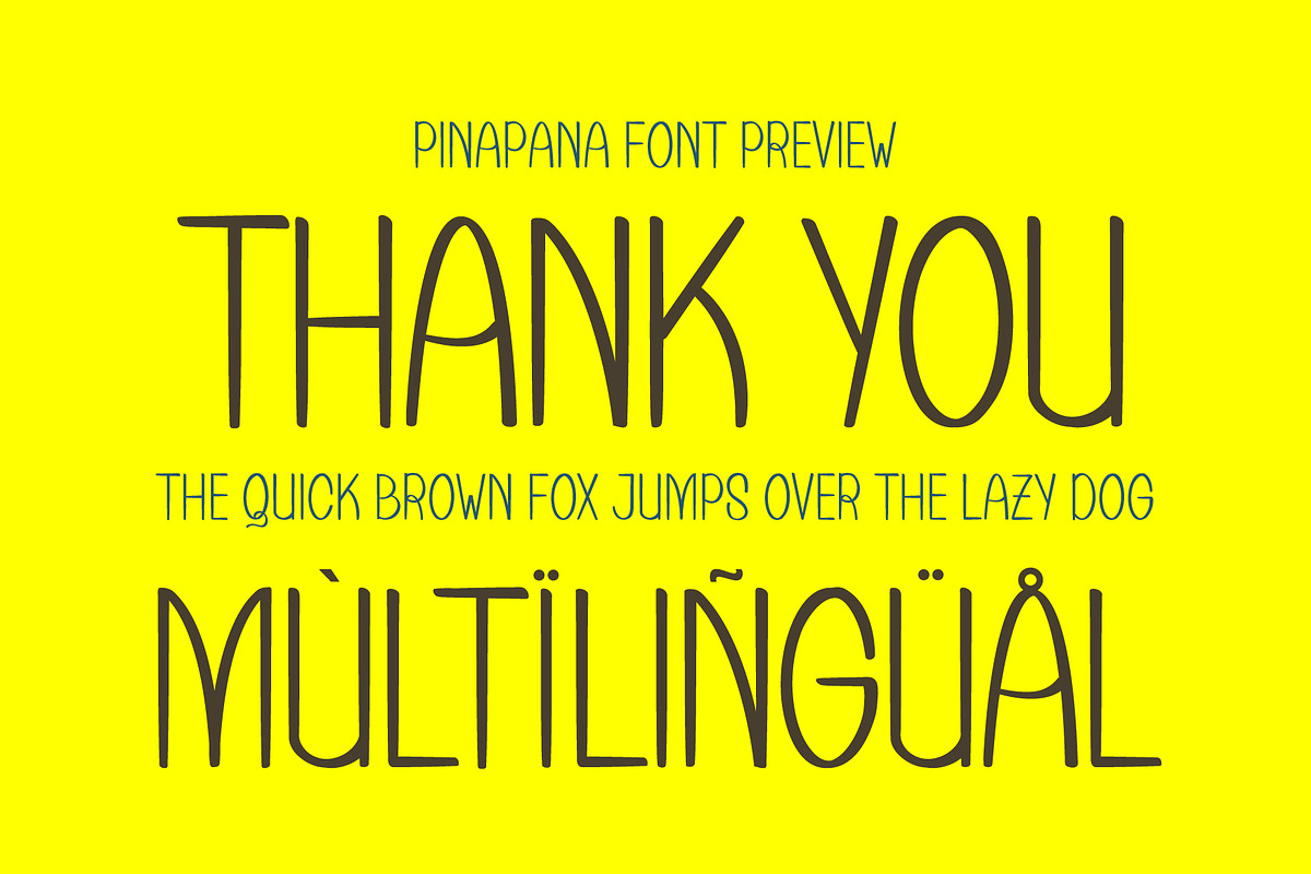 PinaPana a Fancy Handwritten Font, a Handwritten Font by Rasiorise Studio (Photo 10 of 10)