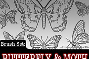 Butterfly & Moth, a Brush Add-On by Forget Me Not Brush Shop (Thumbnail 1 of 3)