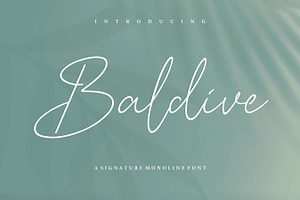 Baldive - A Signature Monoline Font