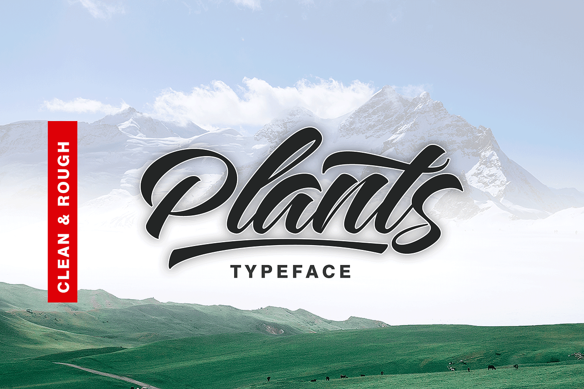 Plants Clean & Rough