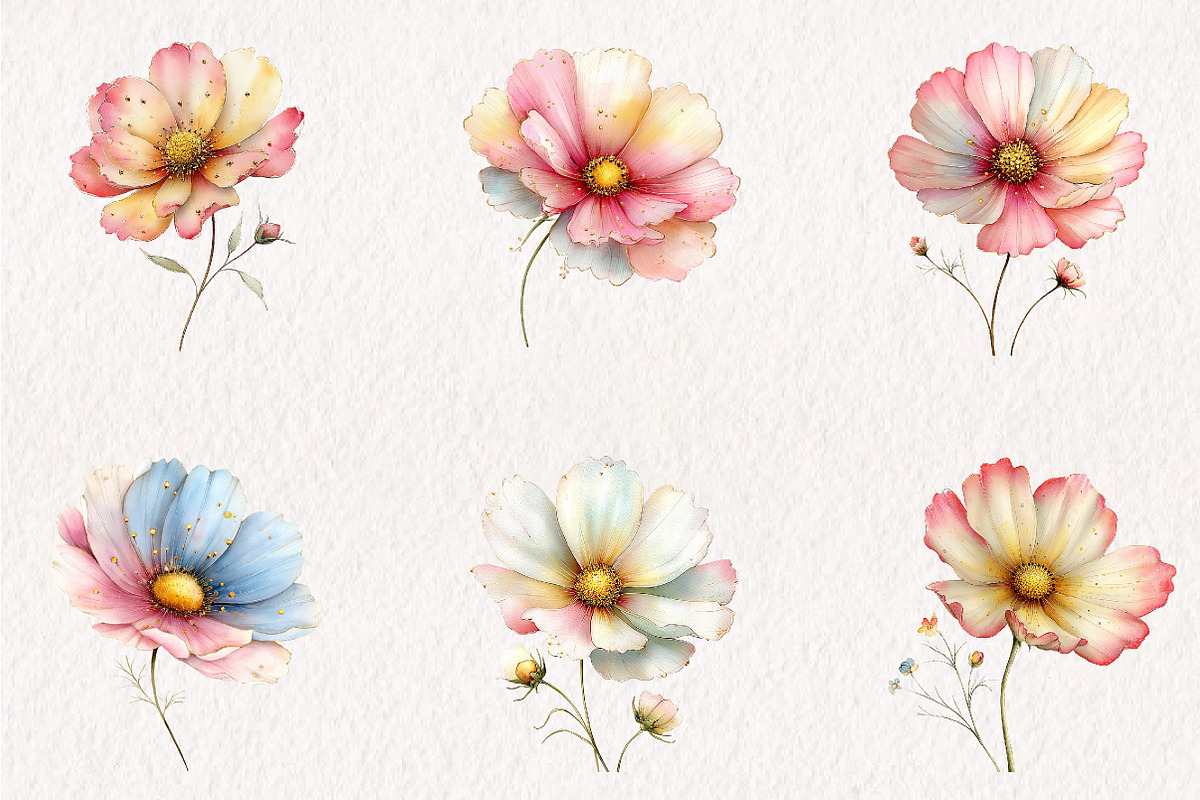 Watercolor Spring Cosmos Flowers Cli, an Illustration by CreationArt (Photo 7 of 7)