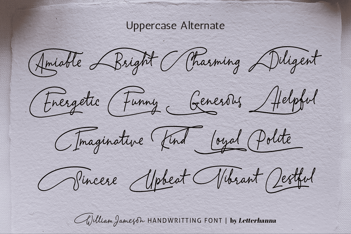 William Jameson Font, a Handwritten Font by Letterhanna Studio (Photo 12 of 15)