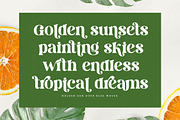 Dream Silvers Modern Serif Font, a Serif Font by timelesstype.co (Thumbnail 7 of 20)