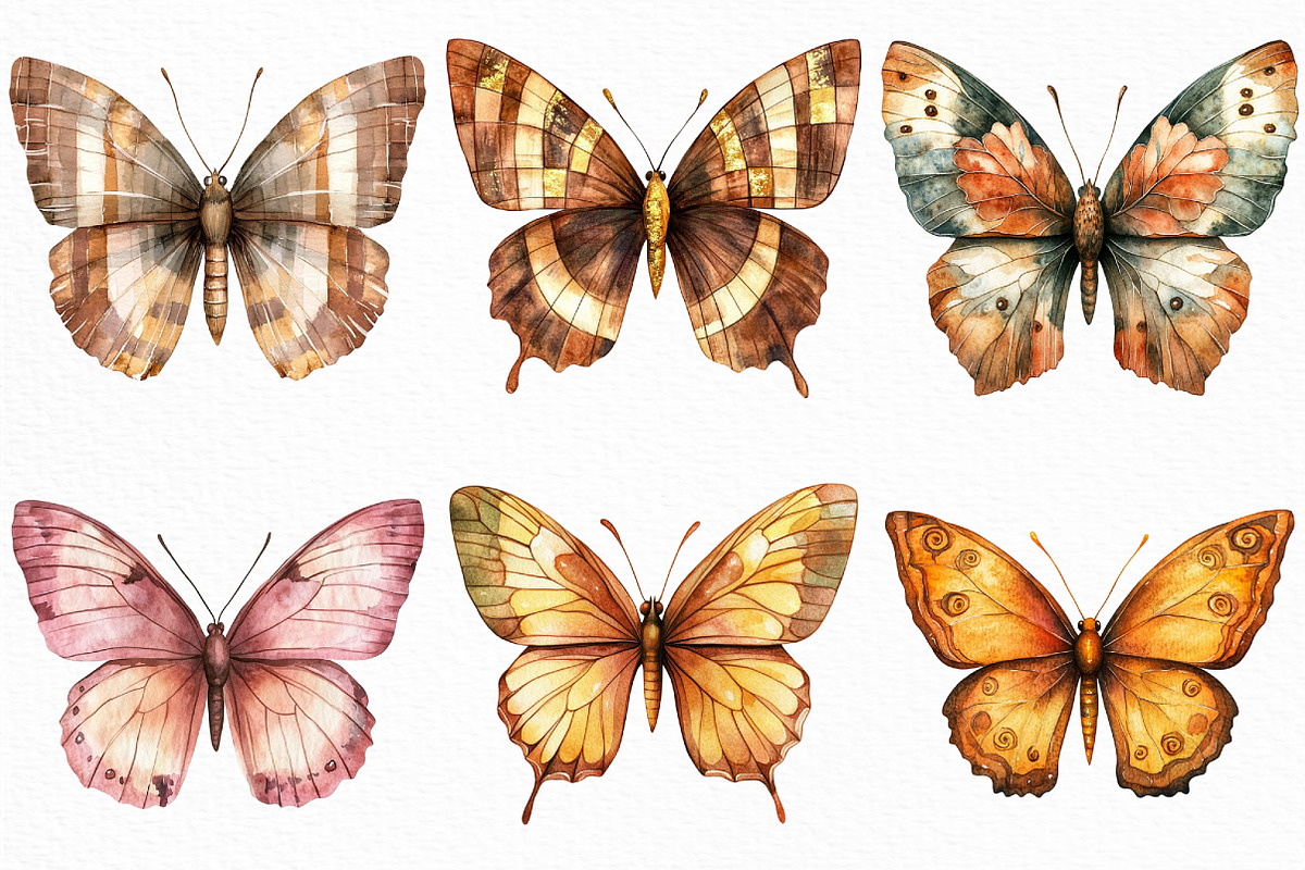 Watercolor Autumn butterflies PNG, an Illustration by Craft Nest (Photo 5 of 6)