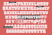 Brutald, a Slab Serif Font by 24Design Studios (Thumbnail 8 of 8)