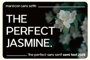 Marecon, a Sans Serif Font by ismanayuda (Thumbnail 4 of 8)