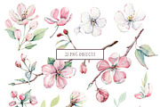 BLOOMY DAY Watercolor set, an Illustration by Lemaris (Thumbnail 2 of 7)