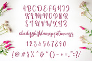 Fitamint - Script, a Script Font by SemutHitam Creative (Thumbnail 2 of 7)