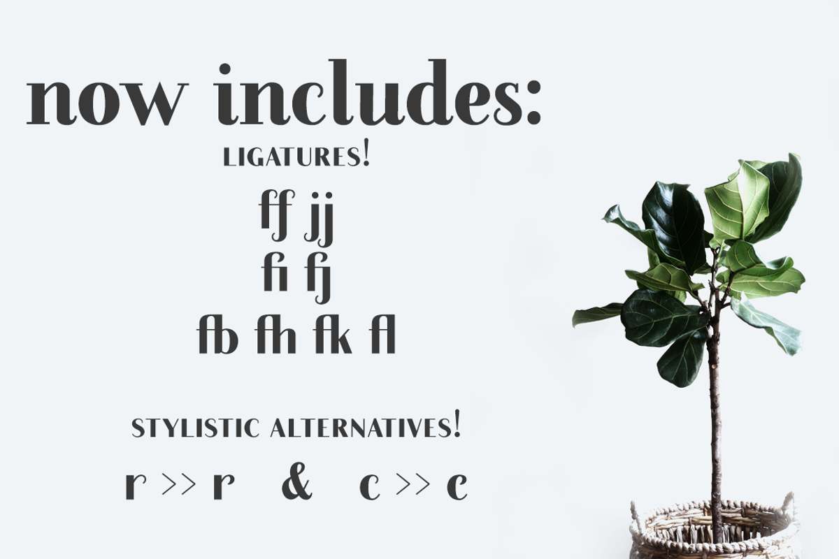 Farewell Angelina font family, a Serif Font by Ana's Fonts (Photo 9 of 11)