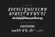 Warrington, a Script Font by Pollux of Geminorum (Thumbnail 8 of 12)