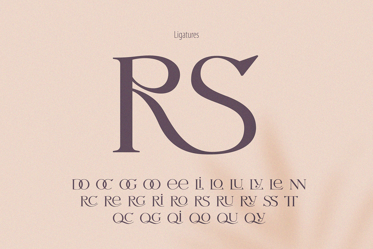 Letterature ligature serif font, a Serif Font by kaer_shop (Photo 5 of 12)