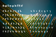 Despacio – Medieval Blackletter Font, a Blackletter Font by Dhabee (Thumbnail 3 of 16)