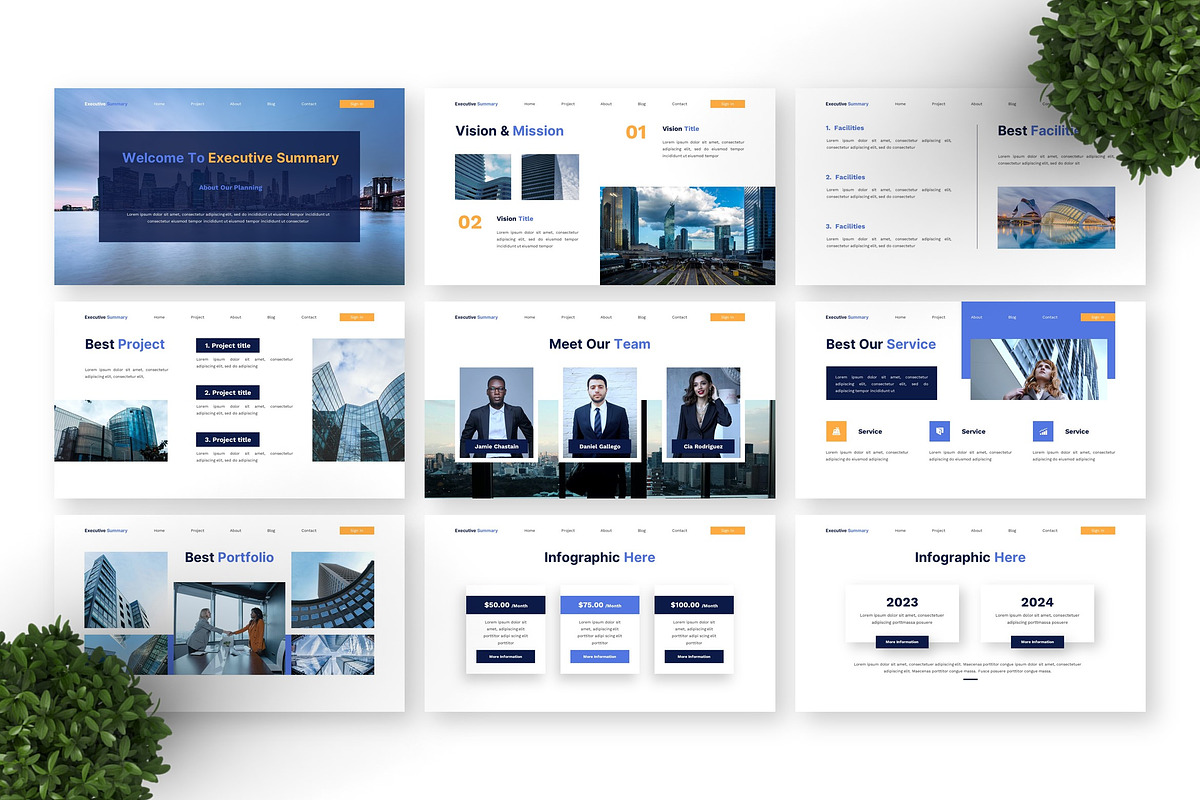 Executive Summary - Business PPT preview 6