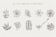 Line Art Succulent Illustrations, a Decorative Illustration by CL Creative Studio (Thumbnail 2 of 10)