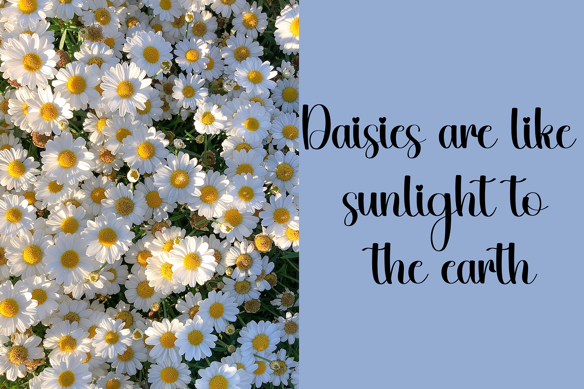 Daisy, a Handwritten Font by InermediaSTUDIO (Photo 3 of 8)