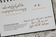 Majestic Wisteria Font, a Handwritten Font by Letterhanna Studio (Thumbnail 18 of 21)