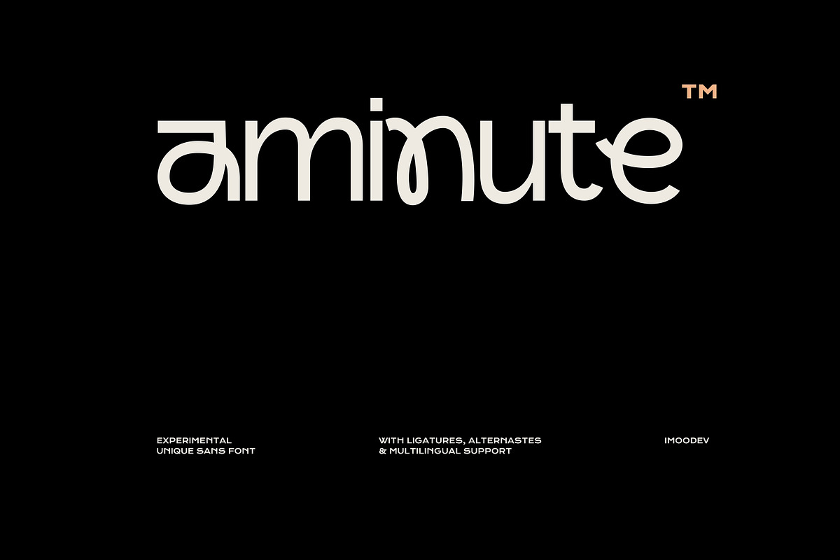 Aminute - Experimental Unique Sans, a Slab Serif Font by Imoodev (Photo 1 of 5)