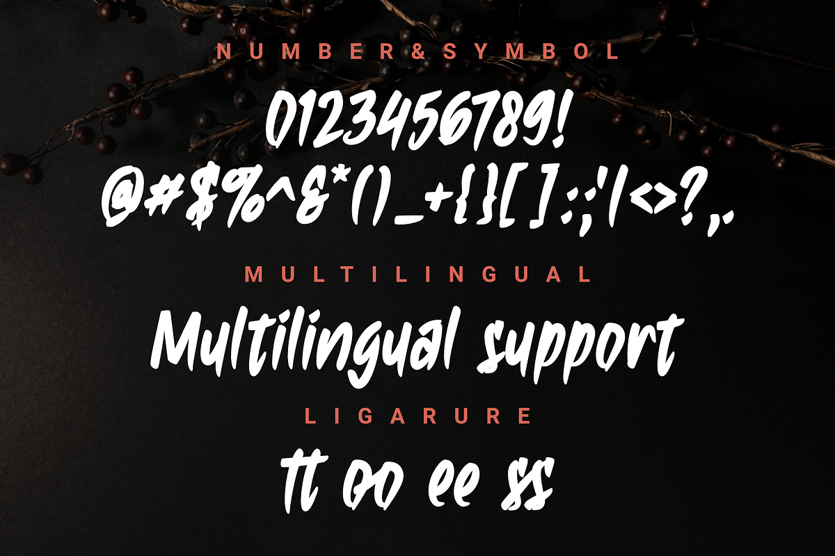 Ambiguous, a Font by Dumadistyle (Photo 3 of 12)