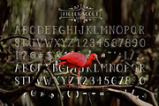 Pigeon Scout Font Collection, a Sans Serif Font by Hatch Design Workshop (Thumbnail 4 of 7)