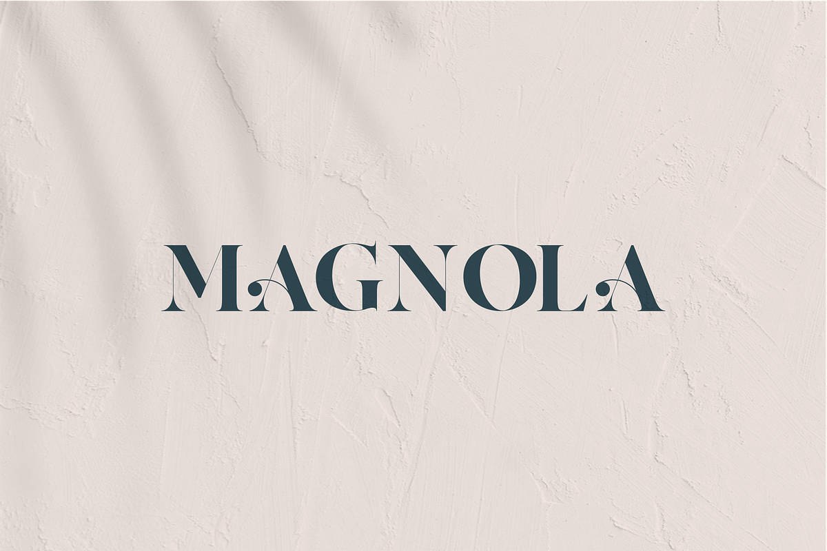 AQILA - A Beautiful Serif, a Serif Font by Vroz Studio (Photo 5 of 7)