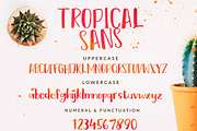 SALE !!! The Tropical - 5 Fonts, a Font by Dirtyline Studio (Thumbnail 16 of 19)