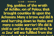 FlyBridge - Bold Ligature Rich Sans, a Sans Serif Font by SilverStag Type Foundry (Thumbnail 24 of 30)