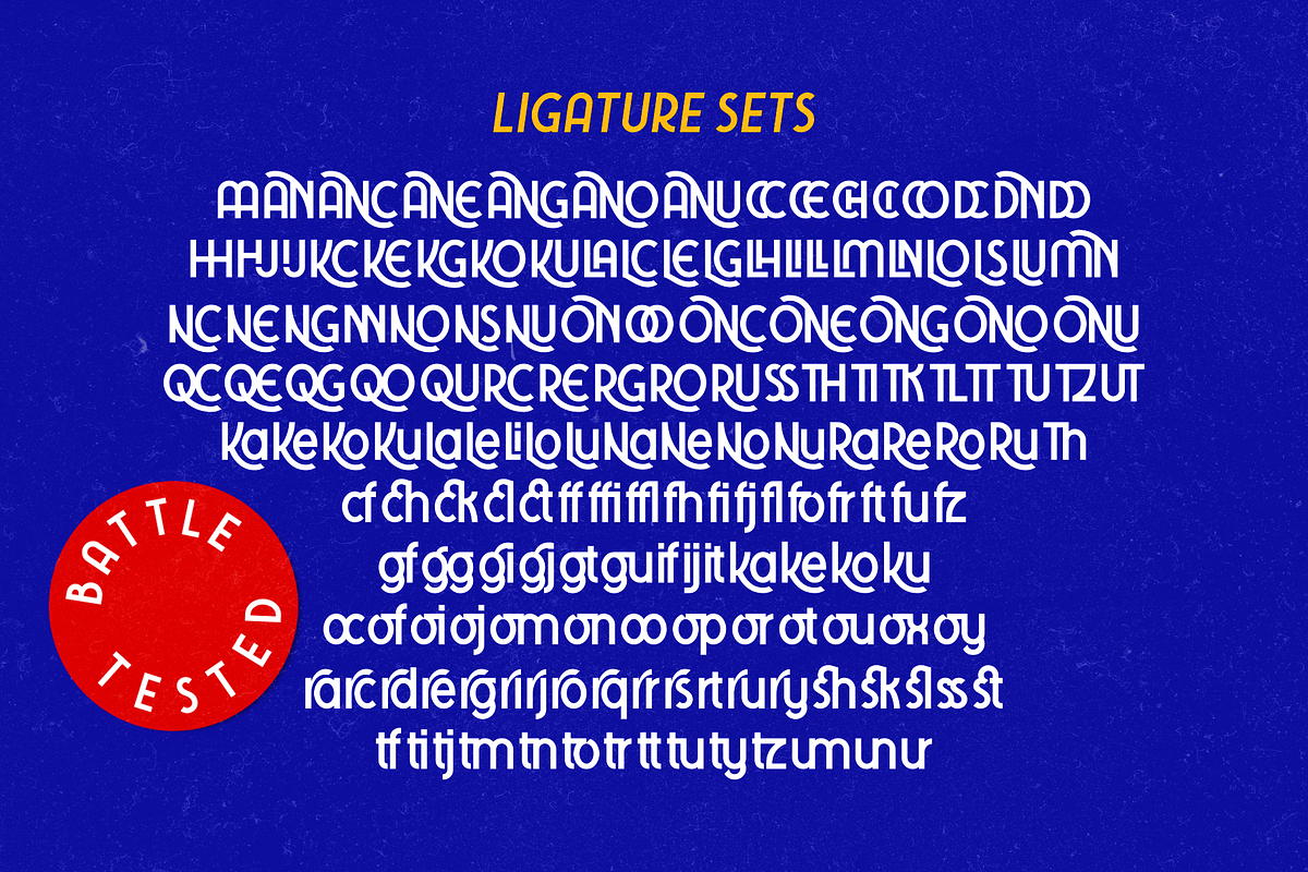 Tawakkal Sans, a Sans Serif Font by Twicolabs Fontdation (Photo 9 of 9)