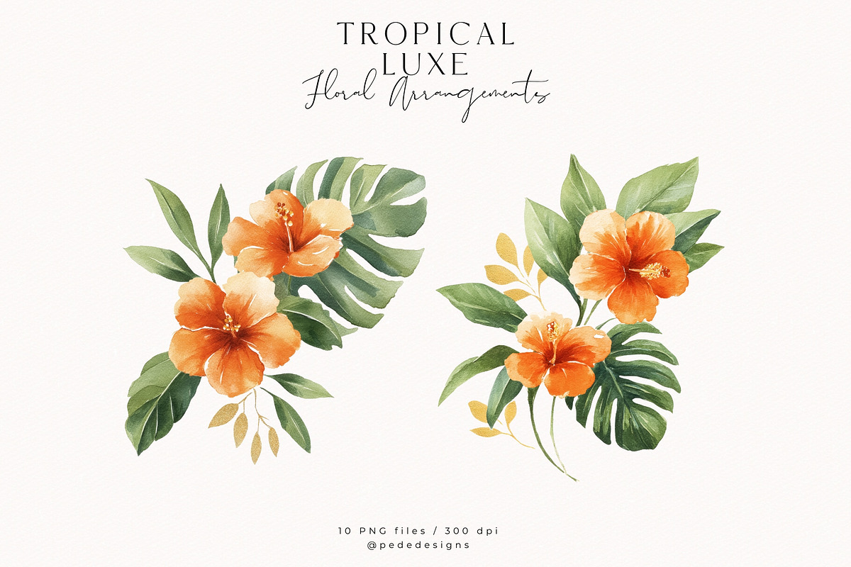 Tropical Luxe Collection, an Illustration by PeDe Designs (Photo 15 of 28)
