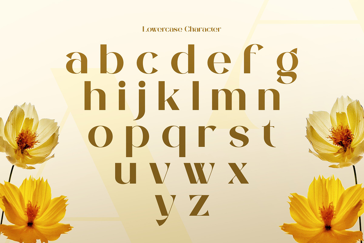 Vangier - Elegant Sans Serif Font, a Sans Serif Font by Flawless And Co (Photo 7 of 10)