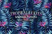 Tropical Leaves & Seamless Pattern, a Pattern Graphic by Talip Memis (Thumbnail 1 of 6)
