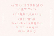 Simplify | Cheek Display, a Serif Font by Pentagonistudio (Thumbnail 8 of 12)