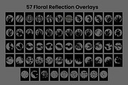 57 Floral Reflection Overlays, a Pattern Graphic by 3Motional (Thumbnail 9 of 16)