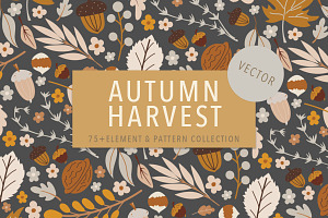 Autumn Harvest Vector Collection