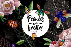 Peonies And Beetles ILLUSTRATIONS