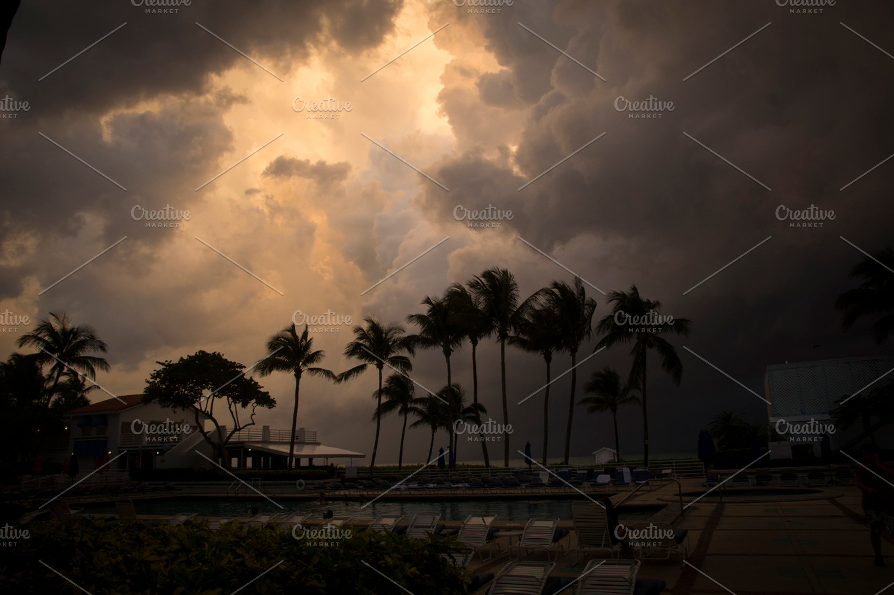 Thunder In The Paradise.