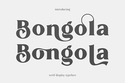 Bongola | Serif Display Font