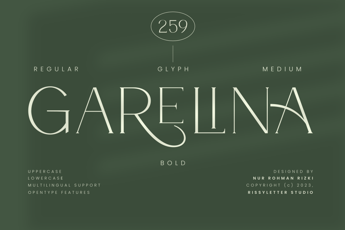 Garelina | Modern Serif Font, a Serif Font by Rissyletter Studio (Photo 1 of 11)