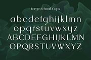 Luxmont - Elegant Floral Typeface, a Serif Font by HipFonts (Thumbnail 3 of 10)