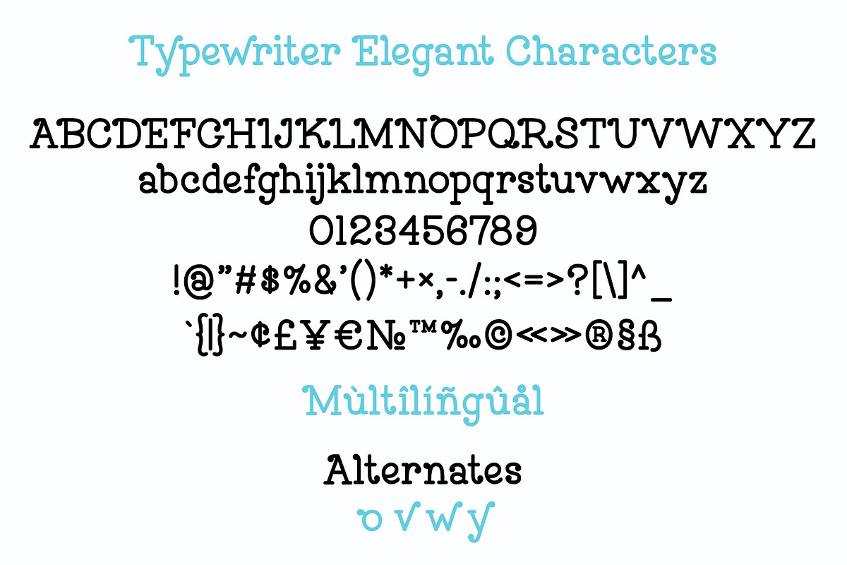 Typewriter Font, a Serif Font by Miss Tiina (Photo 4 of 6)