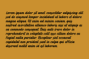 Eclare – Vintage Script Fonts, a Script Font by Konstantine Studio (Thumbnail 4 of 5)