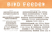 Bird Feeder Font, a Handwritten Font by Brittney Murphy Design (Thumbnail 2 of 2)