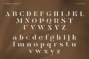 VOLUMA - Simple Elegant Display Font, a Serif Font by Pekotype (Thumbnail 3 of 11)
