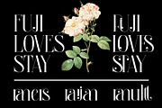 Bralgine A Modern Ligature Serif, a Serif Font by Alfinart (Thumbnail 9 of 10)