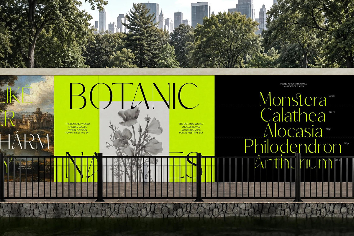 Silence Night Elegant Sans Serif, a Sans Serif Font by timelesstype.co (Photo 8 of 10)