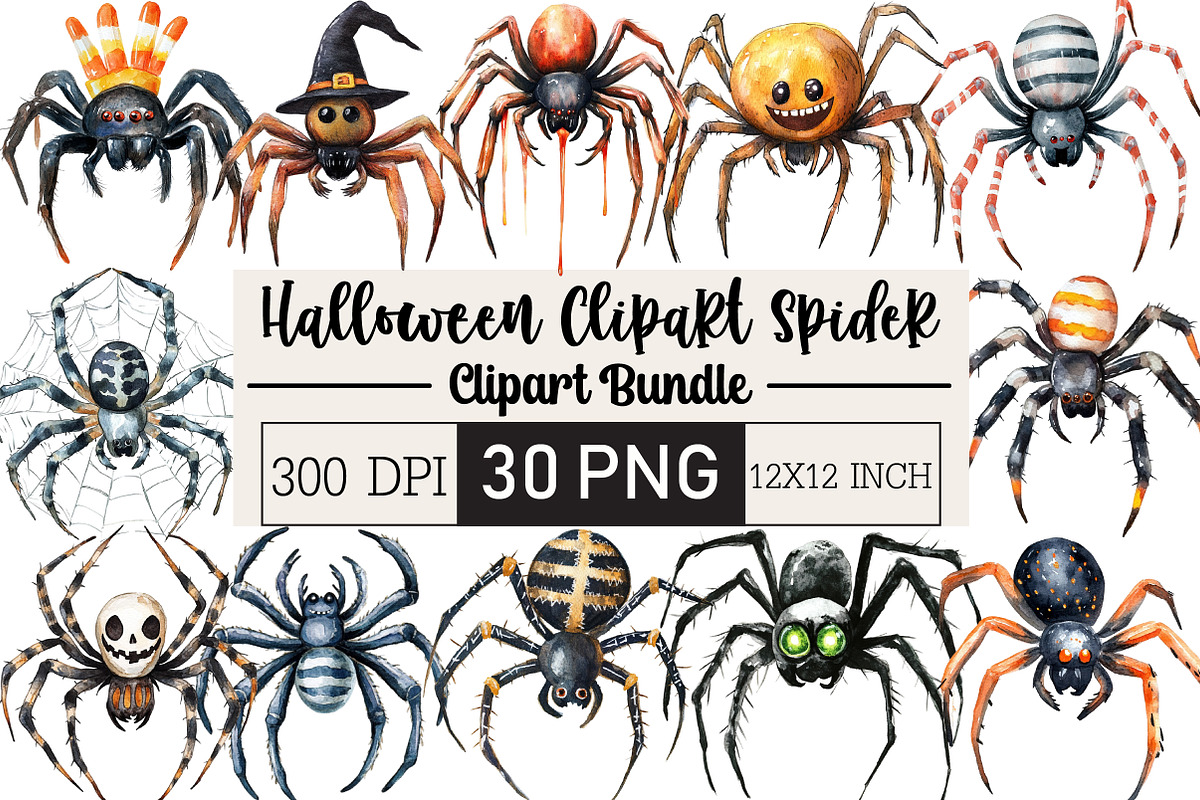 Halloween Clipart Spider Clipart PNG, an Illustration by Black Bird Studio (Photo 1 of 6)