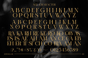 Frane Rhiger Elegant Serif Font, a Serif Font by Graphicxell (Thumbnail 8 of 8)