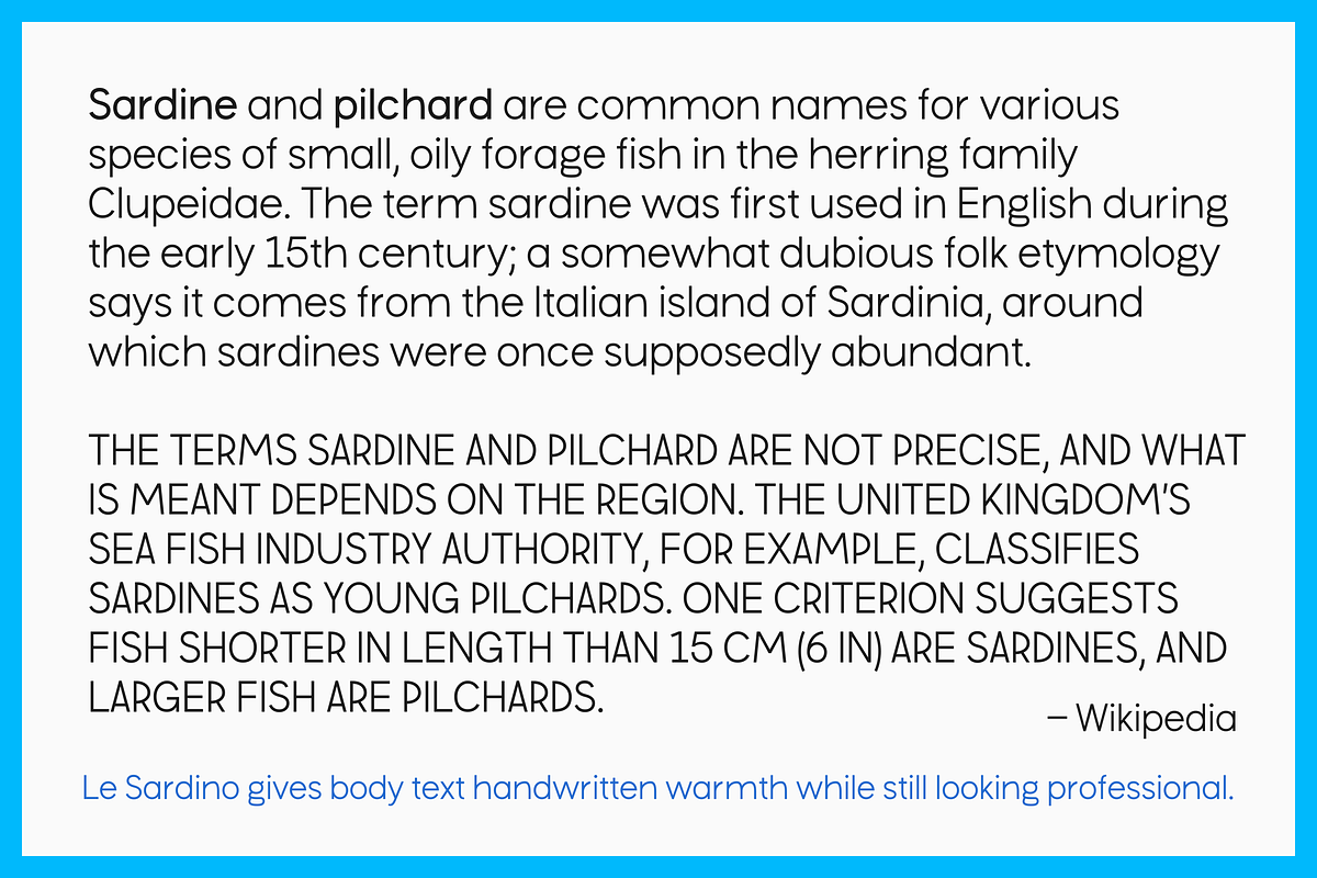 Le Sardino - Font for display & text, a Sans Serif Font by Suolahti Type (Photo 4 of 7)