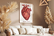 Vintage Human Heart Illustration, an Education Illustration by Kusumaillustration (Thumbnail 4 of 4)